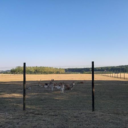 Lemen Huis Houwaart Tielt 외부 사진