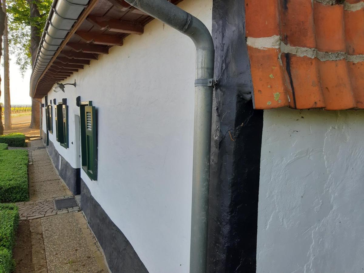 Lemen Huis Houwaart Tielt 외부 사진